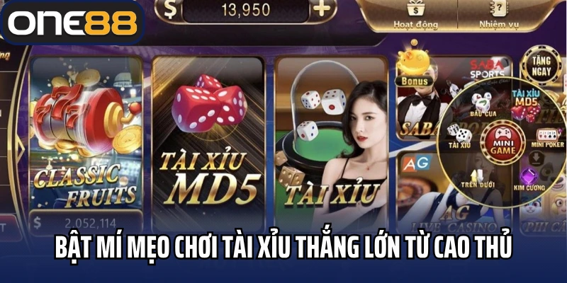 Bật mí mẹo chơi tài xỉu thắng lớn từ cao thủ