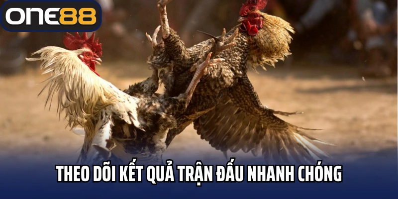 Theo dõi kết quả trận đấu nhanh chóng