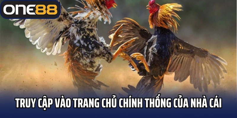 Truy cập vào trang chủ chính thống của nhà cái